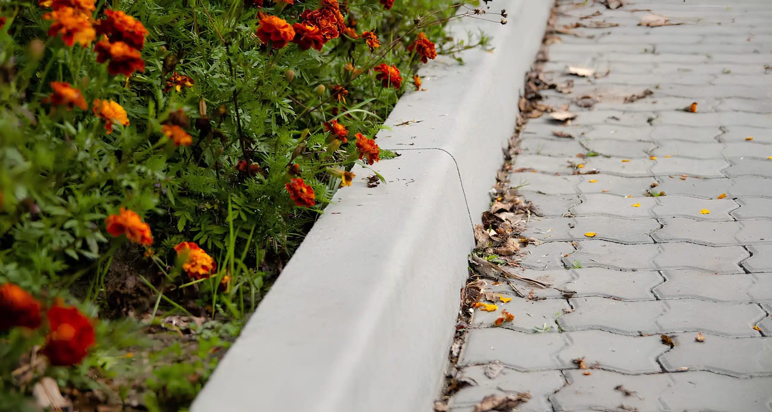 Бордюр STROYGRAD 1